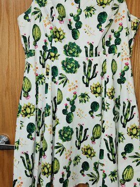 Eva Rose Cactus Succulent Dress 3X Worn Once